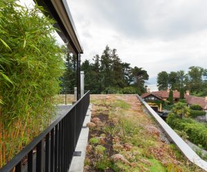 groendak aanleggen groendak aanleggen